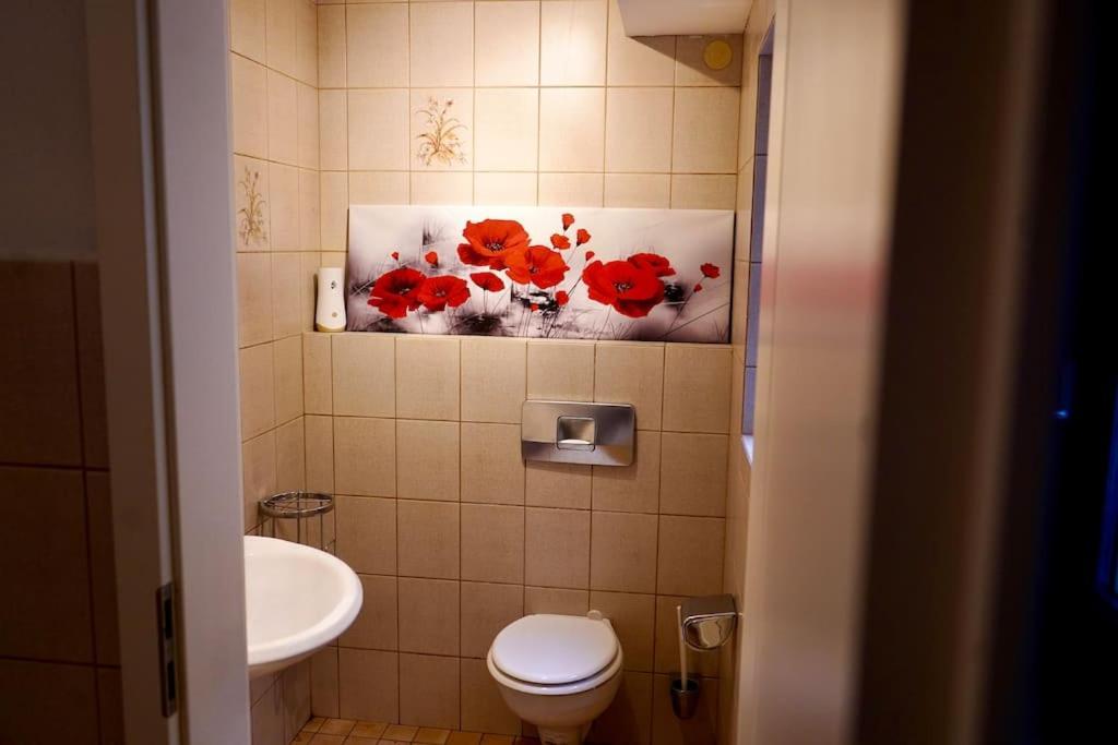Helle Kellerwohnung Im Gruenen Mit Sauna Cologne Exterior photo